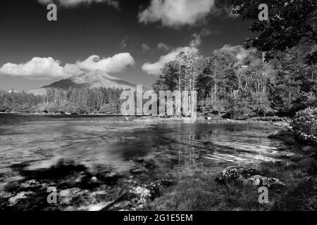 Die Küste am Kenmare River, County Kerry, Irland - John Gollop Stockfoto