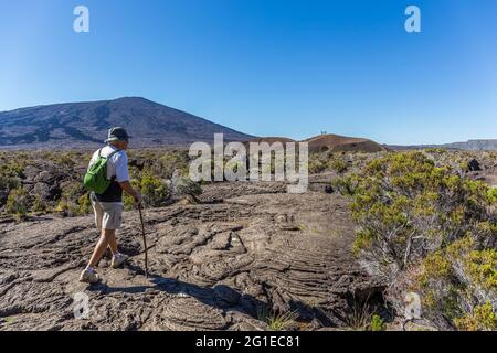 REUNION ISLAND, PITON DE LA FOURNAISE, VULKAN, FORMICA LEO Stockfoto