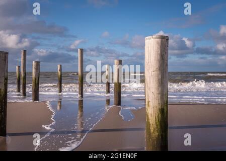 Petten, Niederlande. 3. März 2021. Holzmasten am Strand in der Nähe von Petten aan Zee, Niederlande. Hochwertige Fotos Stockfoto