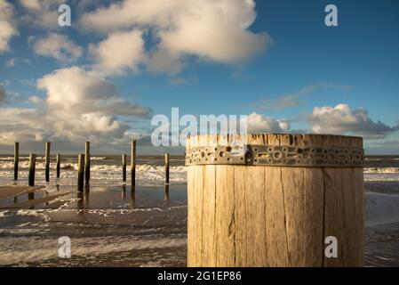 Petten, Niederlande. 3. März 2021. Holzmasten am Strand in der Nähe von Petten aan Zee, Niederlande. Hochwertige Fotos Stockfoto