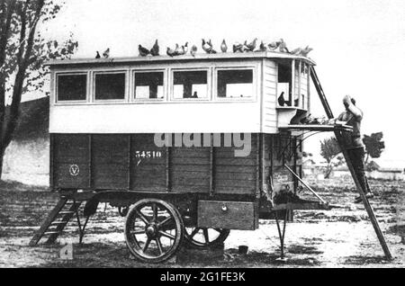 Erster Weltkrieg / 1. Weltkrieg, Westfront, Kommunikation, französische Mobilfunktaubenstation, 1917, ZUSÄTZLICHE RECHTE-CLEARANCE-INFO-NOT-AVAILABLE Stockfoto