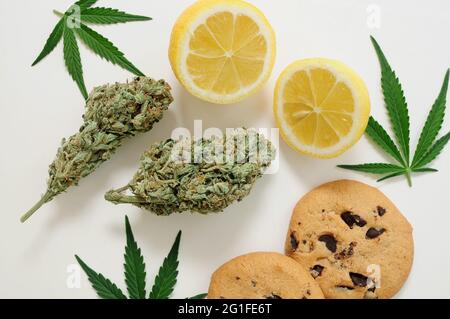 Schokoladenkekse mit CBD-Öl. Marihuanaknospen auf weißem Hintergrund. Cannabisblüten isoliert Nahaufnahme. Stockfoto