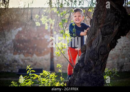 3 Jahre alter Junge, der Spaß daran hat, auf der zu klettern Baum im Park Stockfoto