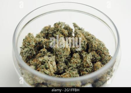 Marihuanaprodukt, getrimmte Knospen in einem Glas. Medizinisches Cannabismaterial isoliert auf weißem Hintergrund. CBD-Erholung, medizinische Verwendung, Zeitvertreibungstherapie. Stockfoto