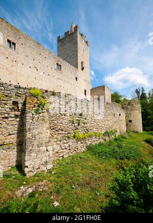 Burgruine Rudelsburg bei Bad Koesen, Naumburg, Sachsen-Anhalt, Deutschland Stockfoto