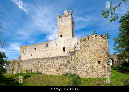 Burgruine Rudelsburg bei Bad Koesen, Naumburg, Sachsen-Anhalt, Deutschland Stockfoto