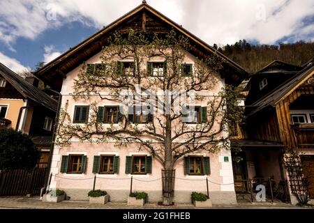 Haus an der Seepromenade im UNESCO-Weltkulturerbe Hallstatt am Hallstätter See, Salzkammergut, Oberösterreich, Österreich Stockfoto