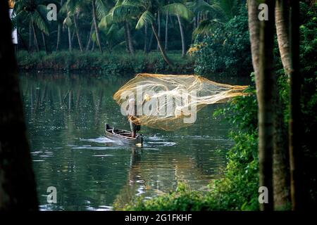 Ein Fischer, der ein Fischernetz wirft, Backwaters von Kuttanad (Alappuzha-Alleppey), Kerala, Indien Stockfoto