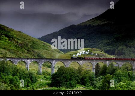 Glenfinnan Viadukt, Eisenbahnviadukt, Eisenbahnbrücke, West Highland Line, Jacobite Express, Dampflokomotive, Eisenbahn, Zug, Harry Potter Hogwarts Stockfoto