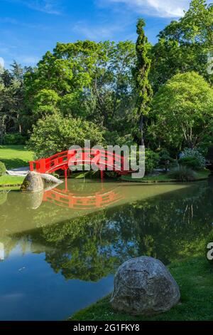 FRANKREICH, ÖSTERREICH. HAUTE-GARONNE (31) TOULOUSE, JAPANISCHER GARTEN Stockfoto