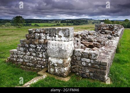 Hadrianmauer, Hadrianmauer, Römisches Grenzbefestigungssystem, Britannischer Limes, Festung, Ruine, Festung Birdoswald, Gilsland, Brampton, City of Stockfoto