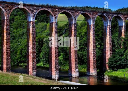 Leaderfoot Viaduct, Drygrange Railway Viaduct, Fluss Tweed, Newstead, Melrose, Scottish Borders, Lowlands, Schottland, Vereinigtes Königreich Stockfoto