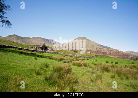 Der alte Mann von Coniston und Dow Crag aus der Nähe von Torver High Common Coniston im Lake District Cumbria England Stockfoto