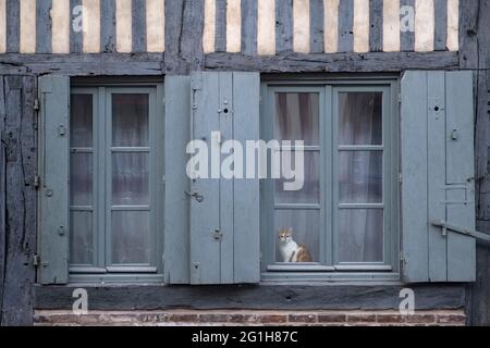 Pont l'Eveque (Normandie, Nordwestfrankreich): Fachwerkhaus in der Rue Vaucelles. Die Geschichte von Gustave Flauberts Novelle EIN einfaches Herz Stockfoto