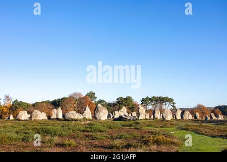 Carnac (Bretagne, Nordwestfrankreich): Kermario megalithische Ausrichtungen Stockfoto