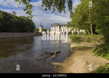 Frankreich, Indre et Loire, Francueil, Loire-Tal, das von der UNESCO zum Weltkulturerbe erklärt wurde, Chenonceaux, Schloss Chenonceau Stockfoto