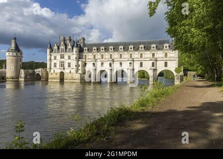 Frankreich, Indre et Loire, Francueil, Loire-Tal, das von der UNESCO zum Weltkulturerbe erklärt wurde, Chenonceaux, Schloss Chenonceau Stockfoto