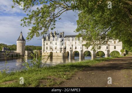 Frankreich, Indre et Loire, Francueil, Loire-Tal, das von der UNESCO zum Weltkulturerbe erklärt wurde, Chenonceaux, Schloss Chenonceau Stockfoto