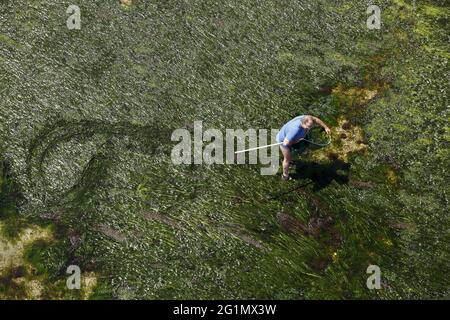 Frankreich, Finistre (29), Roscoff, Küstenfischerei im Vorland von Roscoff Stockfoto