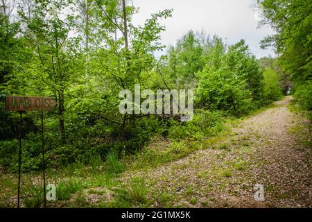 Details Blick auf das Protestcamp der Naturschutzaktivisten im Hambacher Wald Stockfoto