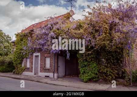 Detailansicht des verlassenen, umgesiedelten Dorfes Morschenich - alt für das Tagebau Hambach Stockfoto
