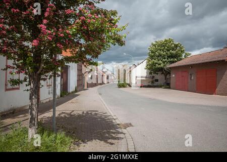 Detailansicht des verlassenen, umgesiedelten Dorfes Morschenich - alt für das Tagebau Hambach Stockfoto