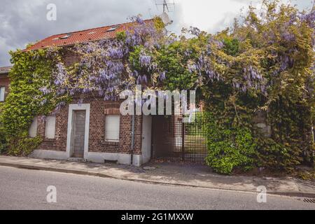 Detailansicht des verlassenen, umgesiedelten Dorfes Morschenich - alt für das Tagebau Hambach Stockfoto