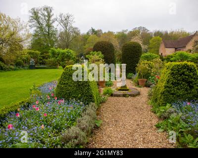Chenies Manor Garten, Sonnenuhrpfad, Rasen, beschnittene Kastenbäume, rosa und weiße Tulpen, blaue myosotis, Pavillon Gebäude im frühen Frühjahr. Stockfoto