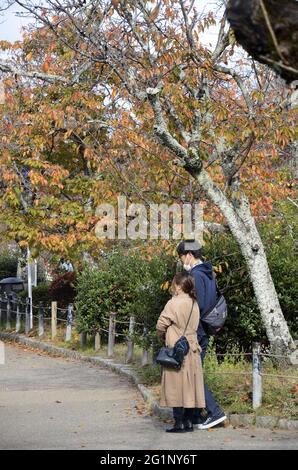 KYOTO, JAPAN - 10. Dez 2019: Kyoto, Japan- 24. Nov 2019: Touristen beobachten Herbstfarben entlang des Philosophenpfades in Kyoto. Die Route ist nach Nishid benannt Stockfoto