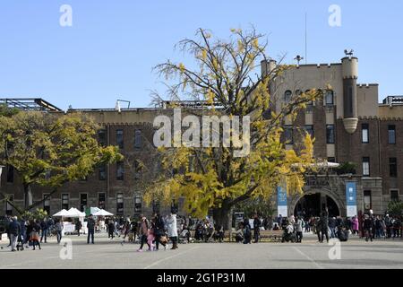 OSAKA, JAPAN - 05. Dezember 2019: Osaka, Japan - 01. Dezember 2019: Ehemaliges Stadtmuseum von Osaka in Osaka, Japan, im inneren Graben der Burg von Osaka gelegen, verwendet als Stockfoto