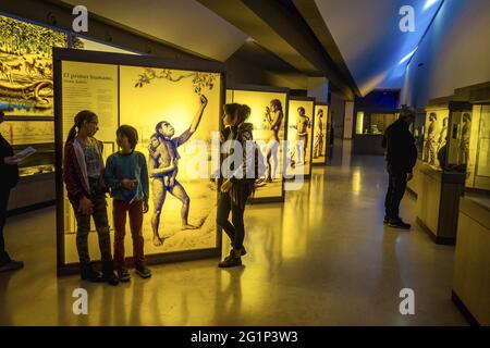 Spanien, Kantabrien, Sentillana del Mar, ornaierte prähistorische Höhle von Altamira Stockfoto