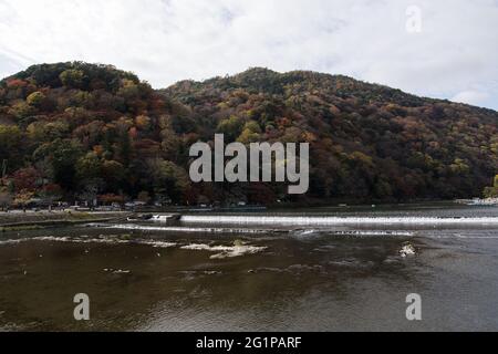 KYOTO, JAPAN - 11. Dez 2019: Kyoto, Japan-26. Nov 2019: Katsuragawa-Fluss mit farbenprächtiger Waldlandschaft im Arashiyama-Distrikt, Kyoto Stockfoto