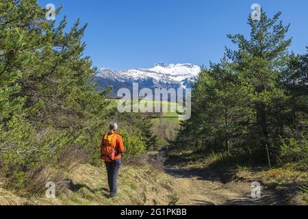 Frankreich, Isere, Trieves Region, Wanderung ab Mens, Devoluy-Massiv im Hintergrund Stockfoto