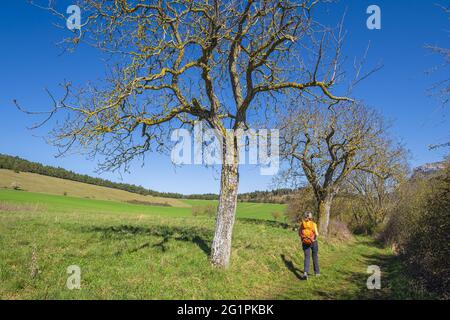 Frankreich, Isere, Trieves Region, Wanderung ab Mens Stockfoto