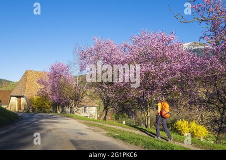 Frankreich, Isere, Trieves Region, Wanderung ab Mens, La Doya Weiler Stockfoto