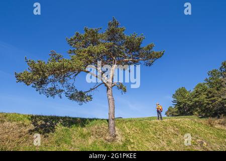 Frankreich, Isere, Trieves Region, Wanderung ab Mens Stockfoto