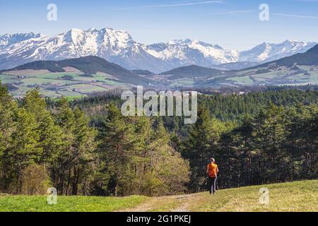 Frankreich, Isere, Region Trieves, Wanderung ab Mens auf dem Wanderweg GR 965 (auf den Spuren der Hugenotten), Taillefer-Massiv im Hintergrund Stockfoto