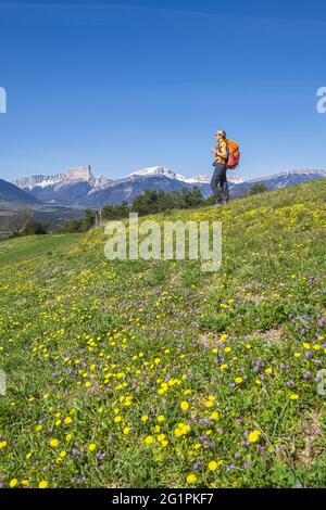 Frankreich, Isere, Trieves, Wanderung von Mens, Mont Aiguille (alt: 2086m) und Grand Veymont (alt: 2341m) im Hintergrund im Vercors-Massiv Stockfoto