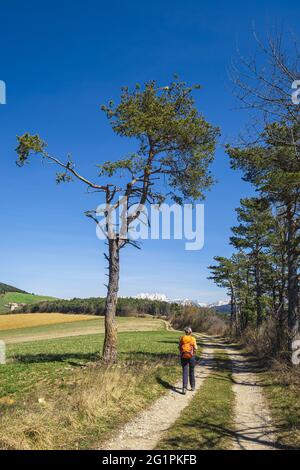 Frankreich, Isere, Trieves Region, Wanderung ab Mens Stockfoto