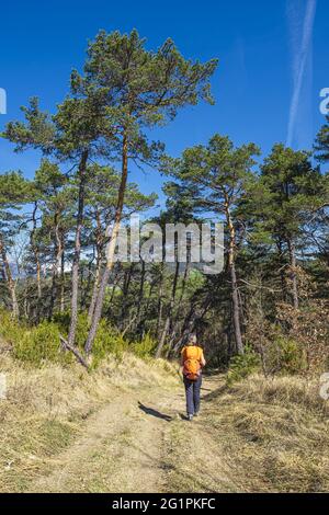 Frankreich, Isere, Trieves Region, Wanderung ab Mens Stockfoto