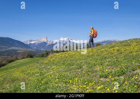 Frankreich, Isere, Trieves, Wanderung von Mens, Mont Aiguille (alt: 2086m) und Grand Veymont (alt: 2341m) im Hintergrund im Vercors-Massiv Stockfoto