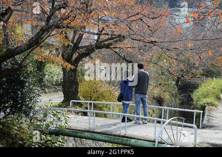 KYOTO, JAPAN - 10. Dez 2019: Kyoto, Japan- 24. Nov 2019: Touristen beobachten Herbstfarben entlang des Philosophenpfades in Kyoto. Stockfoto