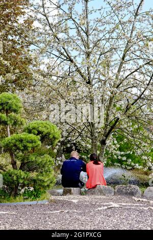 Frankreich, Cote d'Or, Dijon, Suzon Park, der japanische Garten Stockfoto