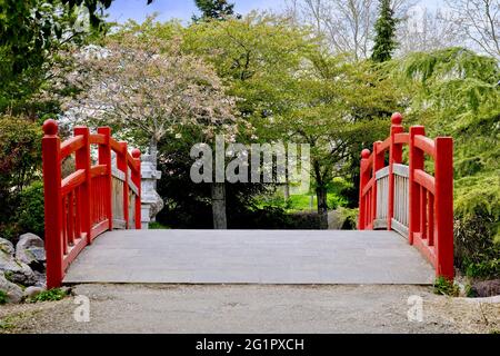 Frankreich, Cote d'Or, Dijon, Suzon Park, der japanische Garten Stockfoto
