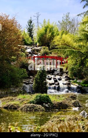 Frankreich, Cote d'Or, Dijon, Suzon Park, der japanische Garten Stockfoto