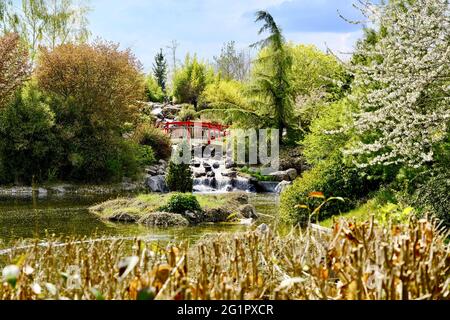 Frankreich, Cote d'Or, Dijon, Suzon Park, der japanische Garten Stockfoto