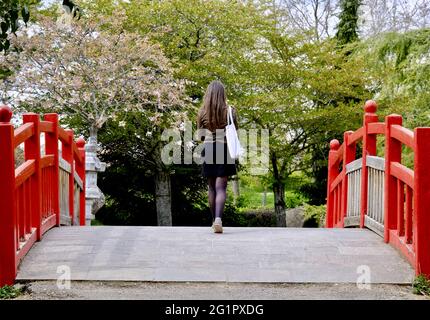 Frankreich, Cote d'Or, Dijon, Suzon Park, der japanische Garten Stockfoto