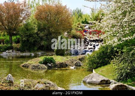 Frankreich, Cote d'Or, Dijon, Suzon Park, der japanische Garten Stockfoto