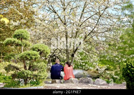Frankreich, Cote d'Or, Dijon, Suzon Park, der japanische Garten Stockfoto