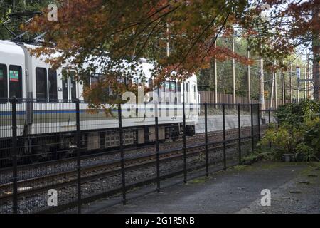 KYOTO, JAPAN - 11. Dez 2019: Kyoto, Japan-26. Nov 2019: Sagano Lokalzug fährt im Herbst durch Arashiyama. Stockfoto